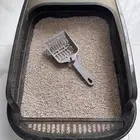 مستلزمات قطط للبيع