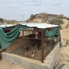 شبك دجاج او حمام 2 3