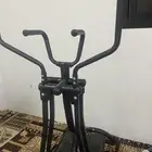 الغزال الطائر