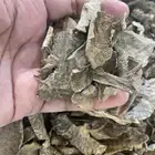 مجموعة من عود الطبيعي والمحسن لجميع المناسبات