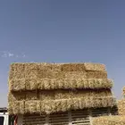تبن بر صافي ناعم
