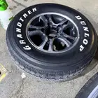 جنوط فراشه مكحل