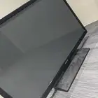 تلفزيون
