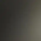 مفقود دجاجتين و ديك في حي السحاب
