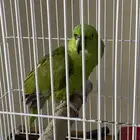 يلوناب أمازون سوبر جامبو