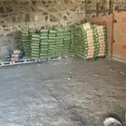 حزنات مدينه