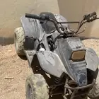دباب