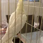 اليف مع الاطفال ويسمع اذا احد ناداه باسمه عمره 6 شهور