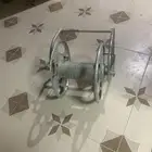 بكرة لي جدارية