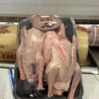 حمام -فرنسي فروخ -زغاليل-حمام فرنسي -فراخه-حمام للأكل