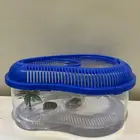 سلحفاة برمائيه صغيره