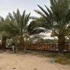 منحل للبيع نظيف