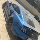 موسنتق 2019