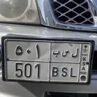 لوحة 501