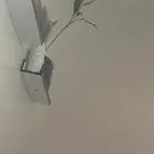 ابغا شقه 4 غرف ف حدود 18