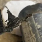 الدينامو جديد بس مو نظيف