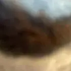 سطحه الحرس خشم العان السعاده النسيم السلي الفيحا الجزيره