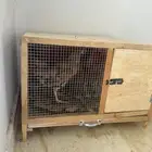 شبك خالي من اي كسور مدة الاستخدام اسبوعين فقط