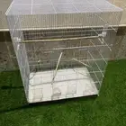 قفص طيور كبير