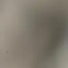 بوبكات لليجار شهري مع السواق تيوفي ورخصه وسايق محترف