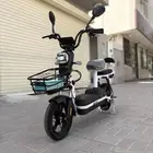 Roxer electric bike lowest price - available tabby