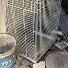 قفص كاسكو