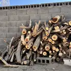 الموقع الرين