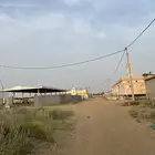 مفقود طير كروان الجراديه الجديده