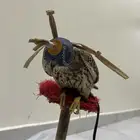 بأشق