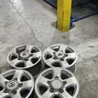 جنوط جيب