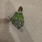تم البيع تم البيع
