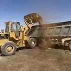 سماد بقري وبي اض