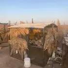 قفص اللبيع 2 2 نظيف