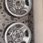 جنوط ونيت