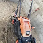 القطيف الملاحه