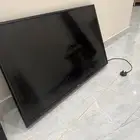 تلفزيون