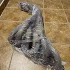 هدرز فتك 4800