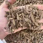 دقة عود مروكي وفصفص جملة الجملة الكيلو 3100