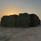 رودس علف