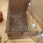 مصيده قطط