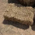 تبن بر للبيع