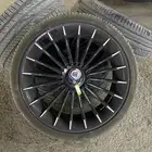 جنوط البينا و كاله