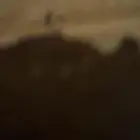 مطلوب شاهين