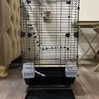 قفص طيور كبير جديد استخدام يومين