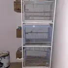 اقفاص واستاند