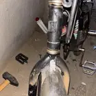 رامبو اندنوسي اصلي للبيع