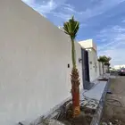 واشنطني زينه