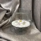 حوض سمك