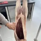 لحوم   طازجة بانتظارك هنا   ملحمة صالحة