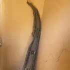 أغراض ربع